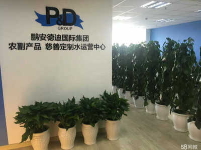 山東鵬安德迪商務(wù)咨詢