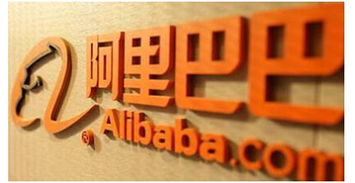 上海辛齋信息進(jìn)軍電商人才服務(wù)領(lǐng)域